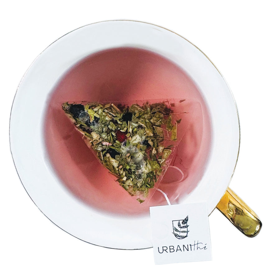 ANTIDOTE | QUATRE SAISONS (sachet individuel)