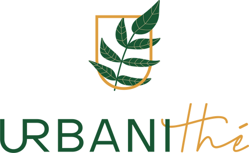 Urbanithe-Entreprise