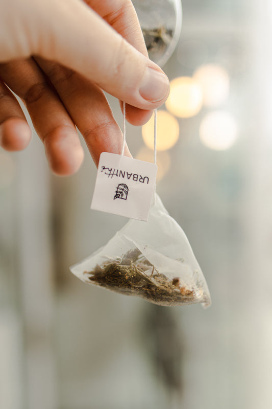 TISANE ÉRABLE GOURMANDE - URBANITHÉ (sachet individuel)