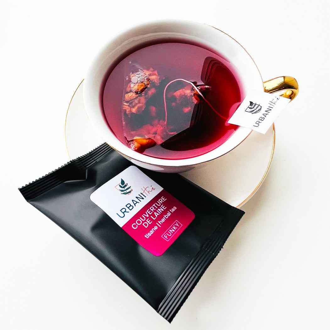POMME CANNEBERGE (sachet individuel)